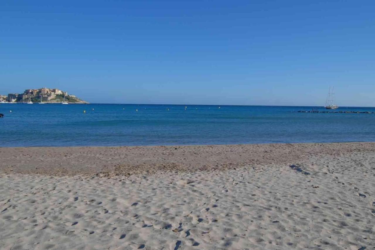 Location De Vacances Olivier Jardin Privatif Et Piscine Chauffee Partagee กาลวี ภายนอก รูปภาพ
