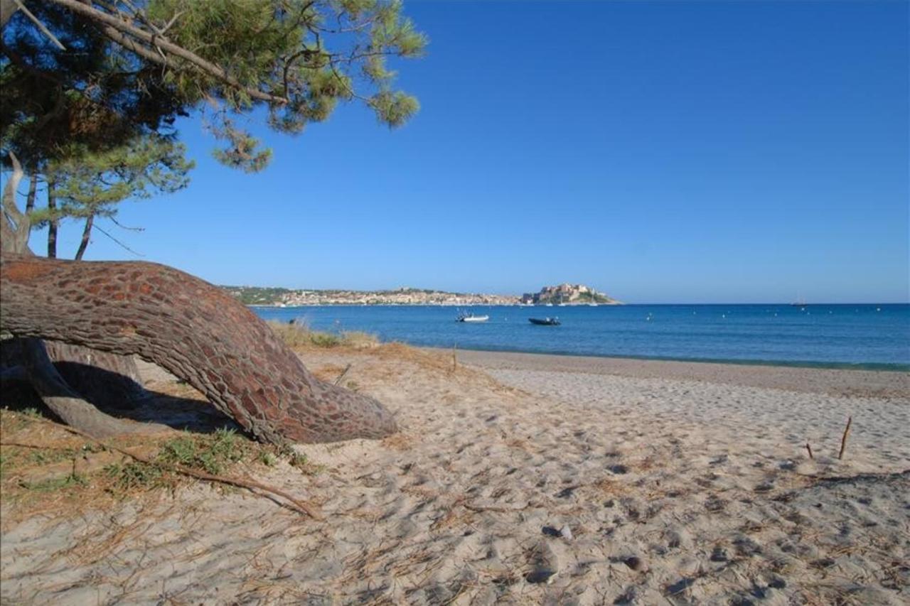 Location De Vacances Olivier Jardin Privatif Et Piscine Chauffee Partagee กาลวี ภายนอก รูปภาพ